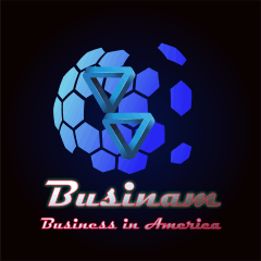 Businam - Business in America